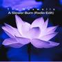 A Slower Burn (feat. Richard Maxwell) [Radio Edit]