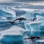 Icebergs on the move to death