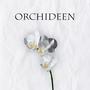 Orchideen