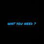 WAT YOU NEED (Explicit)