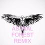 Techno Time (Astral Forest Remix)