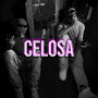 Celosa