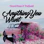 Anything You Want (feat. Tre$waii) [Explicit]