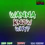 Wanna Know Why? (feat. Vida Vicious & Katody) [Explicit]