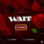 Wait (Explicit)