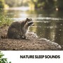 Nature Sleep Sounds: Harmonies of the Earth