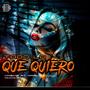 Todo lo que quiero (reggaeton) (feat. mari zii & kasike)