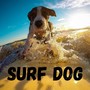 Surf Dog