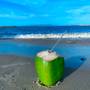 Algo Tropical