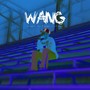 Wang (Explicit)