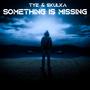 Something Is Missing (feat. Skulka)