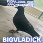 Bigvladick (Explicit)