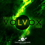 Volvox