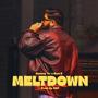 MELTDOWN (feat. SamZ)