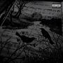 mockingbird pov (Leave Remix) [Explicit]