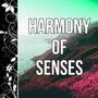 Harmony of Senses - Stress Relief Background Music, Inner Peace, Soothing Sounds & Beautiful Piano M