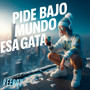 PIDE BAJO MUNDO ESA GATA