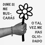 dime si me buscarás