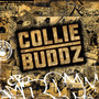 Collie Buddz (Explicit)