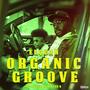 Organic groove (Explicit)