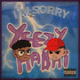 I'm Sorry (Explicit)