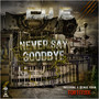 Never Say Goodbye