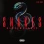 SNAKES (Explicit)