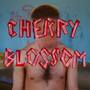 CHERRYBLOSSOM (Explicit)