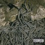 Bed of Snakes (Explicit)