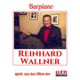 Reinhard Wallner Spielt Wiener Barpianisten