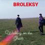 Walking on the Grass (Explicit)