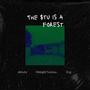 The Stu Is A Forest (feat. Midnight Santana & Urgi) [Explicit]