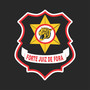 Forte Juiz de Fora
