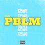 PBLM (Explicit)