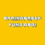 Springbreak (Explicit)