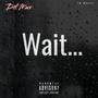 Wait (Explicit)