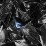 Blue Carbon
