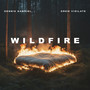 Wildfire