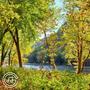 Dreamy Days by the River