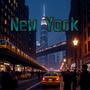 Urlaub in New York (www.Neugebucht.de) (feat. DJ XJK-StaticThe Voltage Maestro)