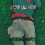 Careless (feat. Nathan Montè) [Explicit]