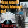 Pisma Kotorie Pishut Nekotorei Otzi (feat. Ricky Boy)