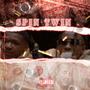 Spin Twin (feat. Kel Vo) [Explicit]