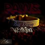 P.A.W.S (Big Dawg Walking) [Explicit]