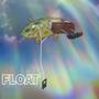 Float (Explicit)