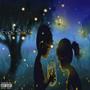 Fireflies (feat. Lil Bro Veno) [Explicit]