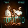 Fonte do Amor