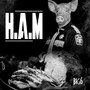H.A.M. (Explicit)