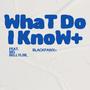 What Do I Know (feat. Bigbellylsb) [Explicit]