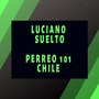 Perreo 101 Chile